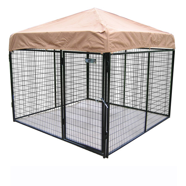 Dog Kennels You'll Love in 2020 Wayfair.ca